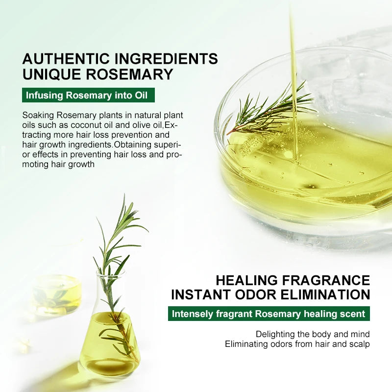 Rosemary Oil Hair Growth Products for Man Women Ginger anti Hair Loss Fast Regrowth Thicken Oils Scalp Treatment Hair Care